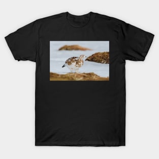 Ptarmigan T-Shirt